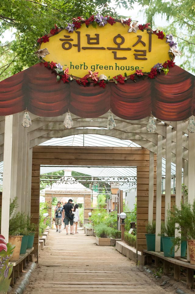 Herb Hillz Daegu Herb House